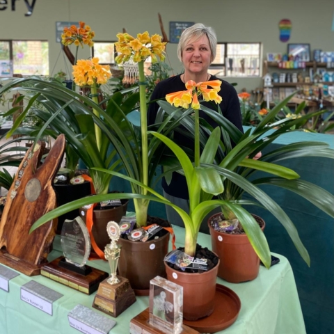 Interspecific Clivia Show GRCC 2024