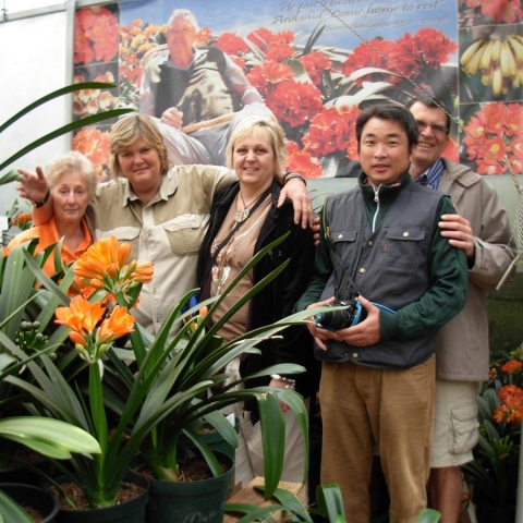 Clivia Breeding Legacies: Honouring the Growers Who Shaped Modern Hybrids
