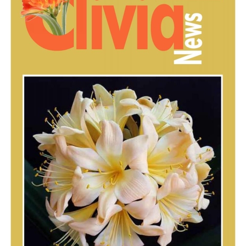 Utopia Clivias in print 