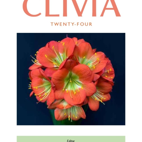 Utopia Clivias wins Clivia Society photographic competitions