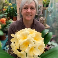 One of our yellow giants