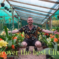 Discover the best clivias