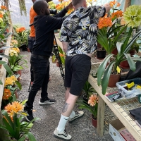 Luke doing pollinations