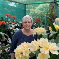Carrie between some of her red and yellow breeding plants